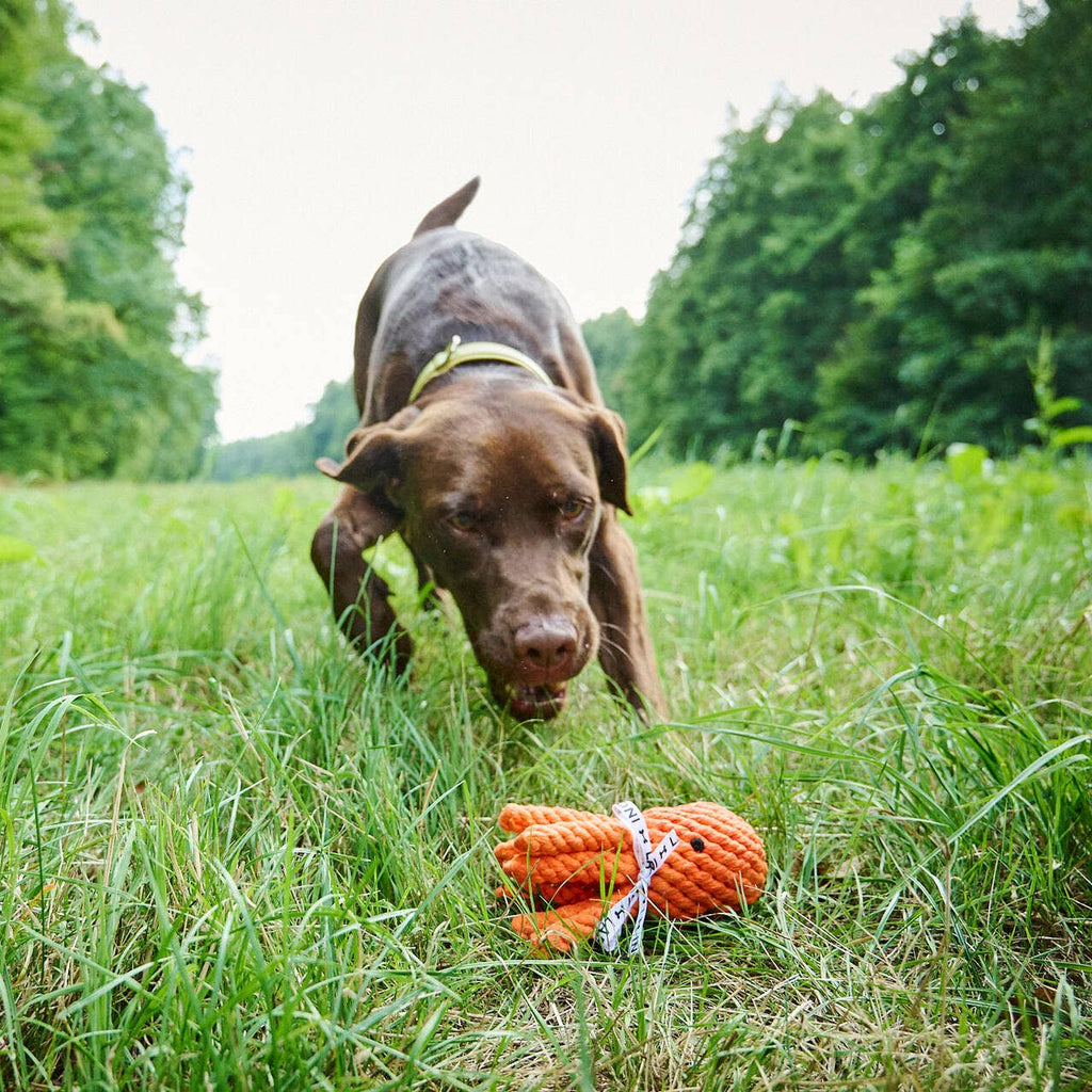 Thaddeus Octopus rope toy