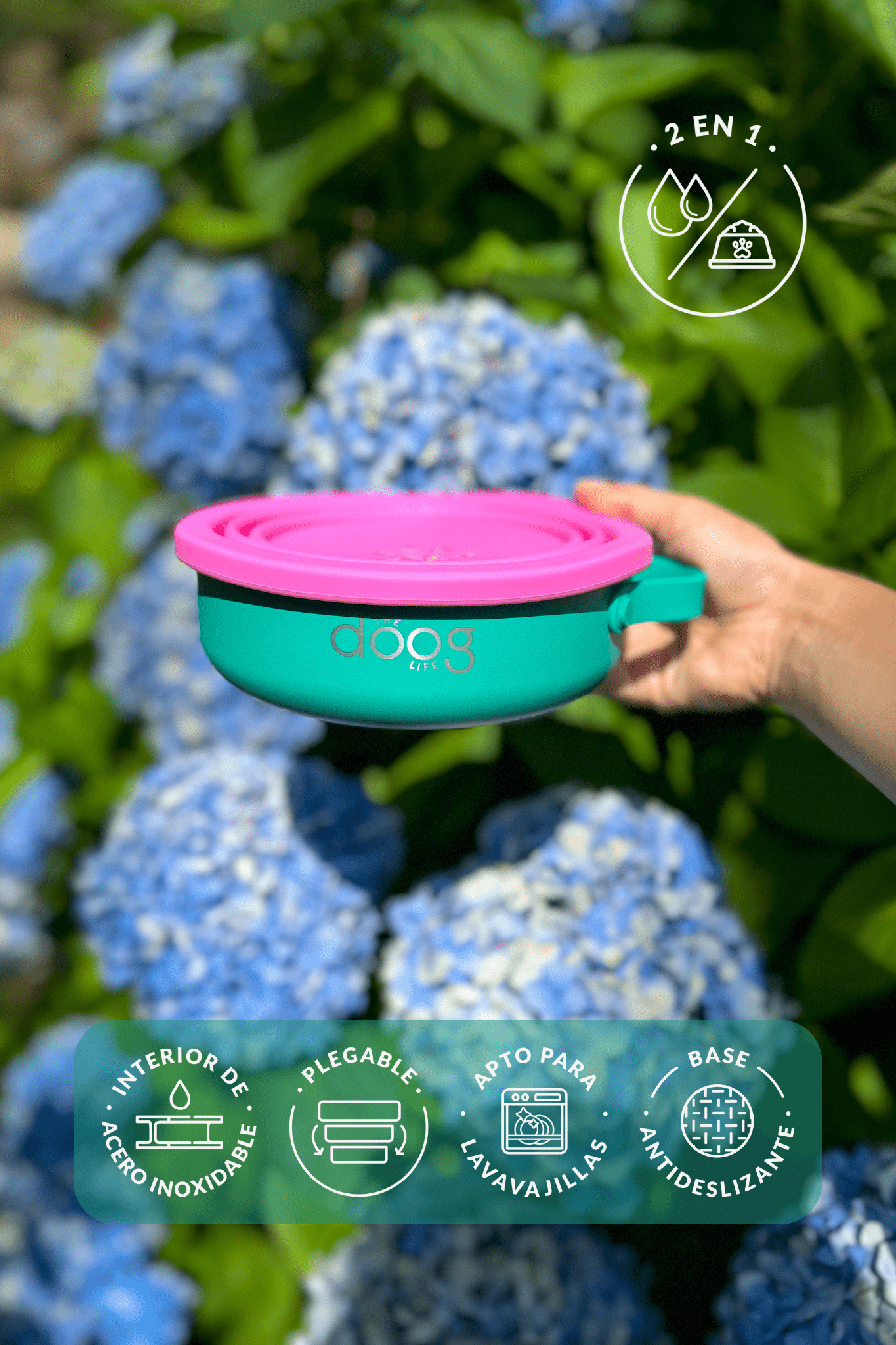 Portable food & water bowl