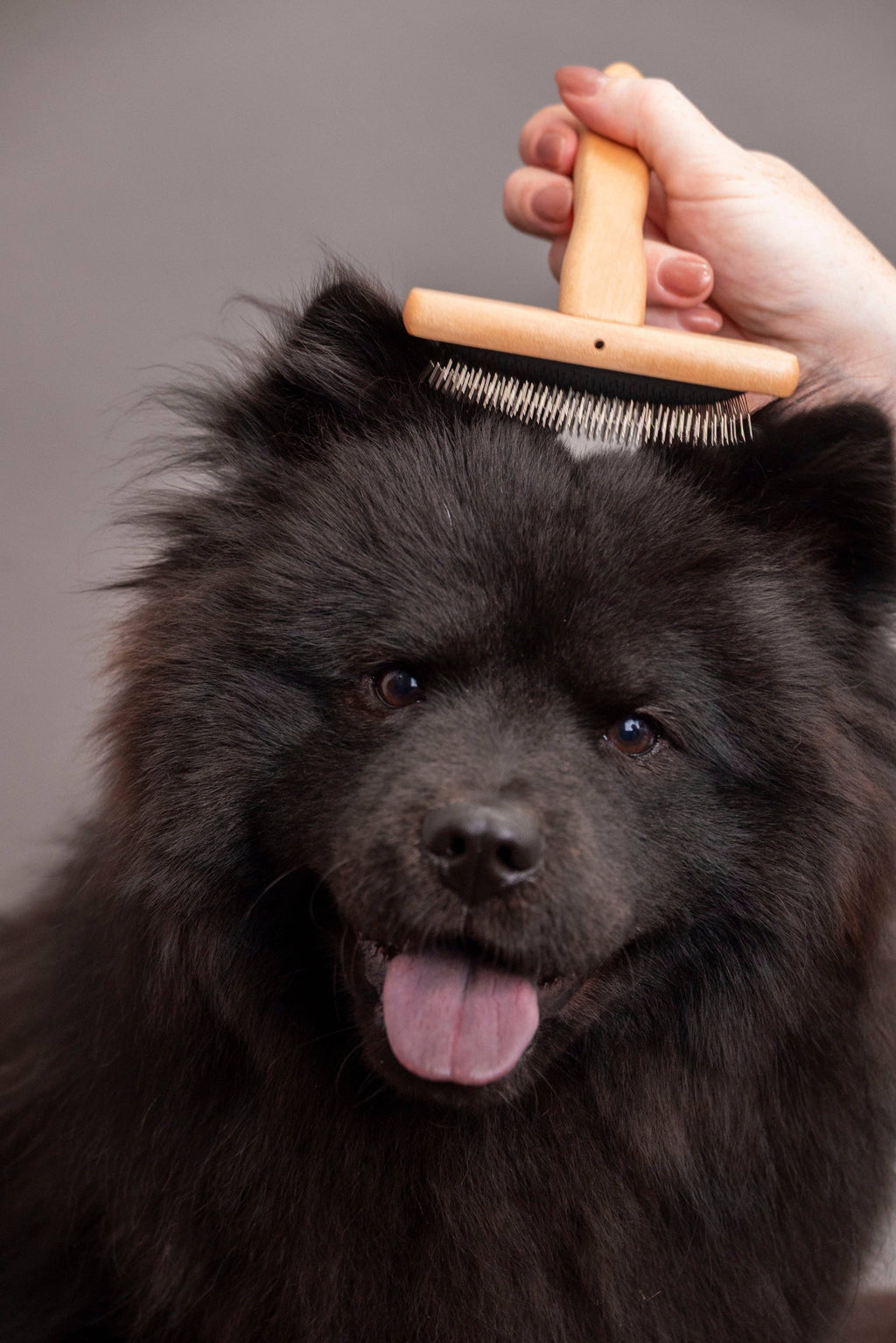 Bamboo Slicker Brush