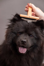 Bamboo Slicker Brush
