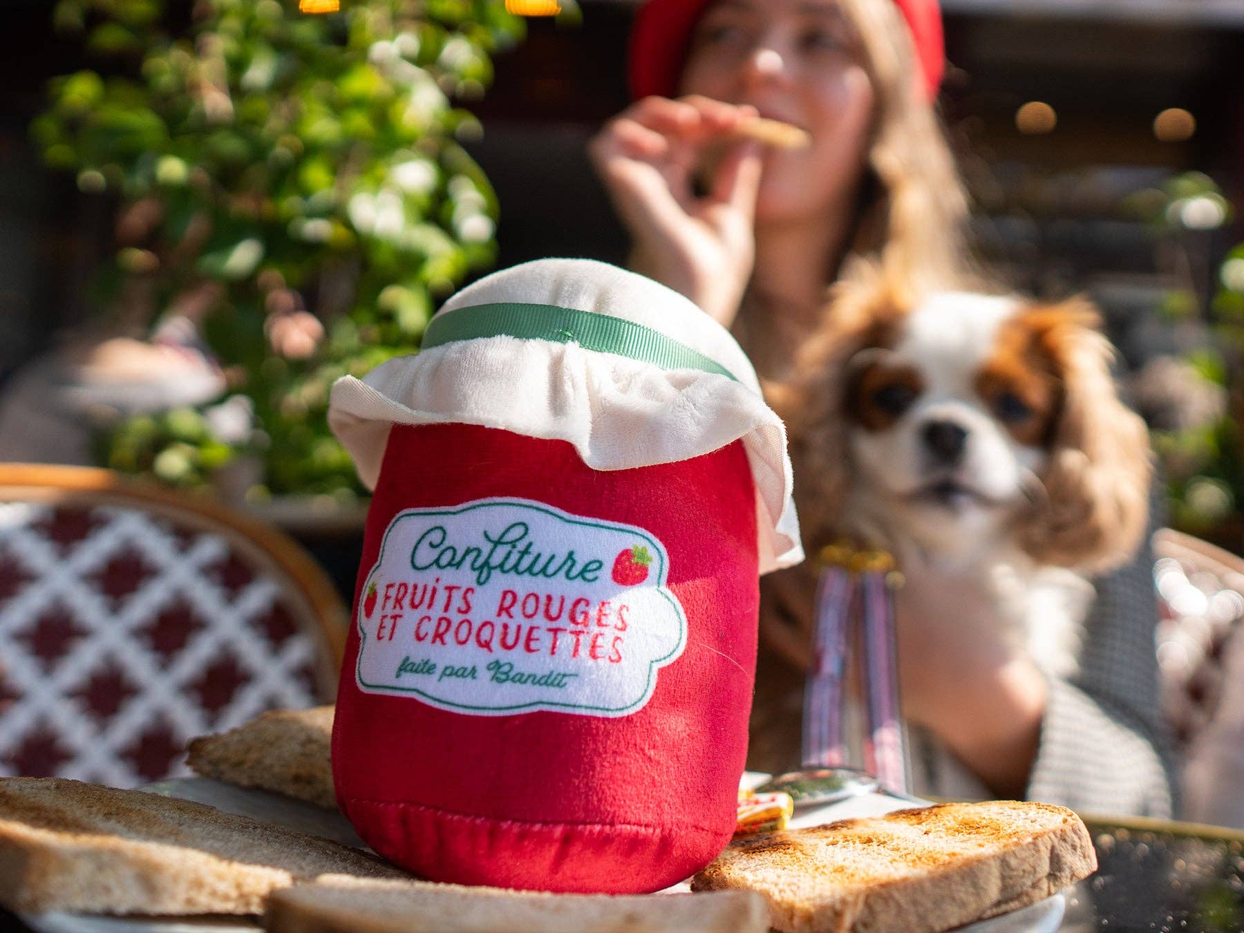 Jam jar dog toy