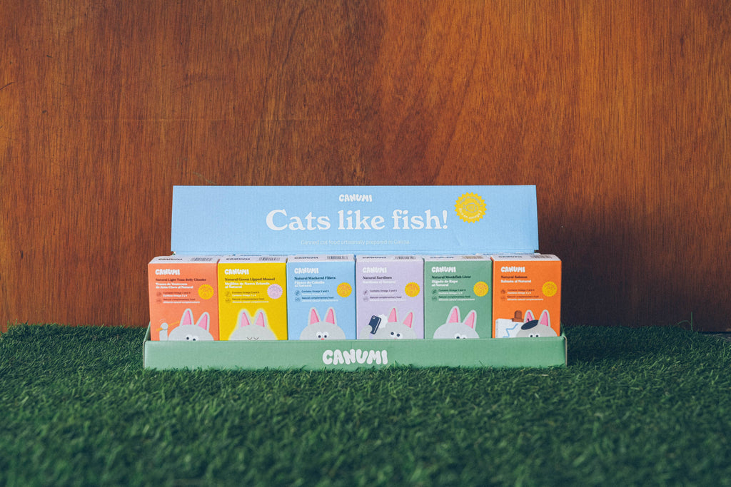 Cats like fish!