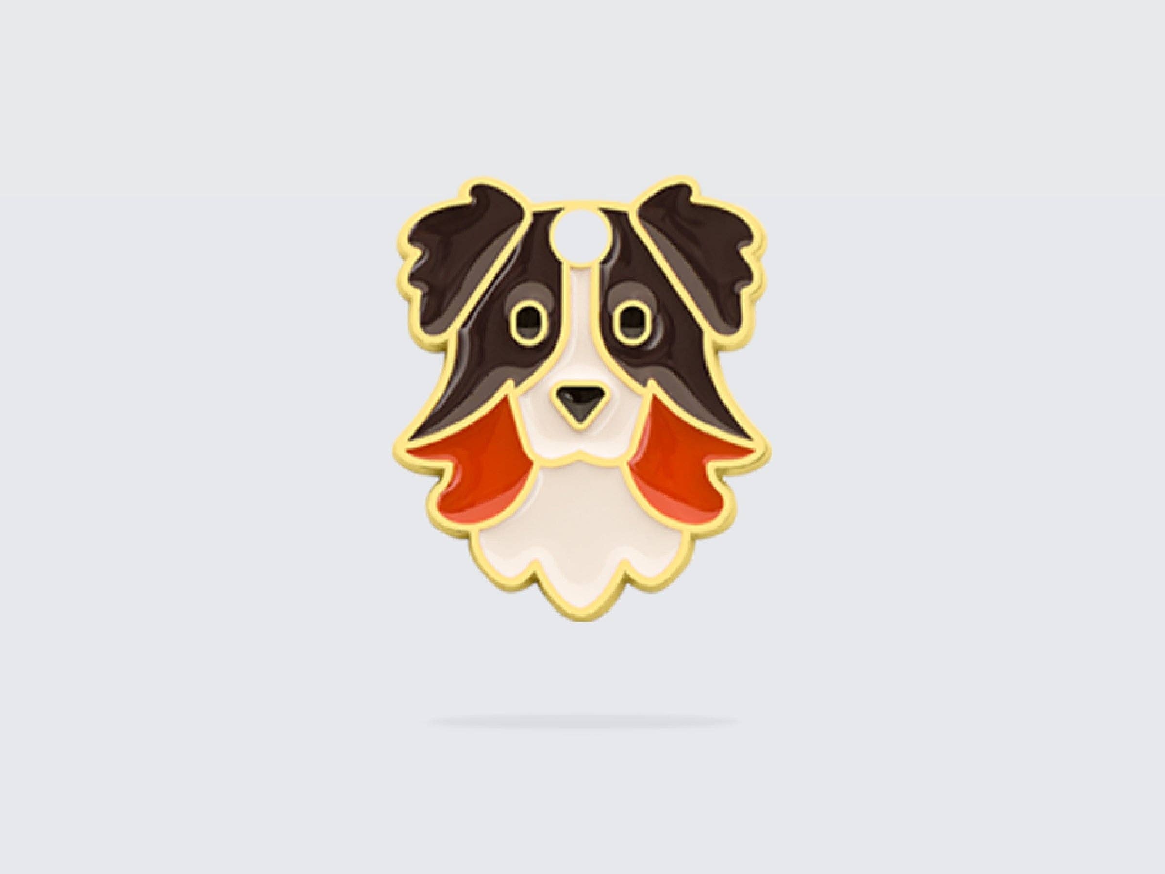 Collie/Shepherd dog tag