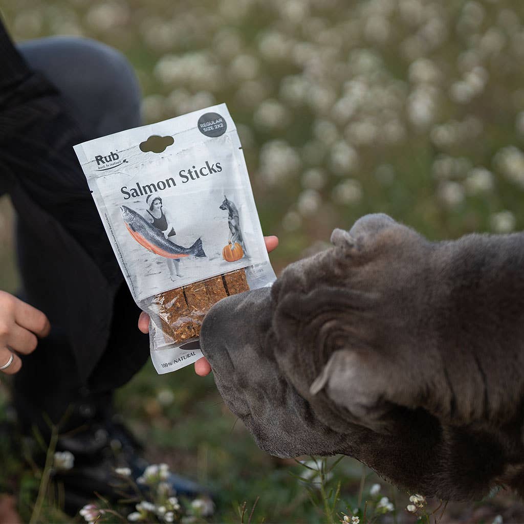 Salmon Dental Treat Sticks for Dogs 100g - 2x2cm sticks