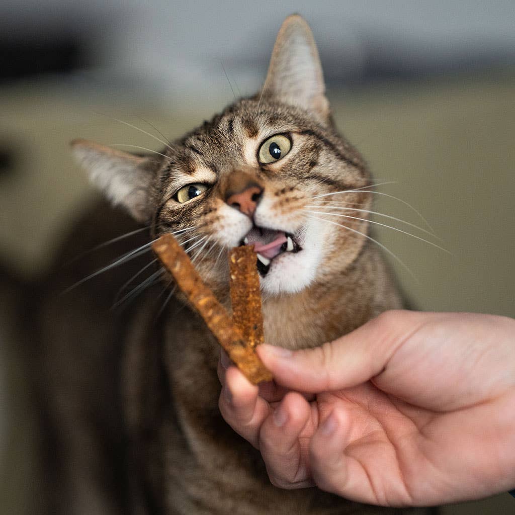 Treat Rub Stick Dental Chicken for Cats 100g