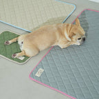 Airy Pet Cooling Mat