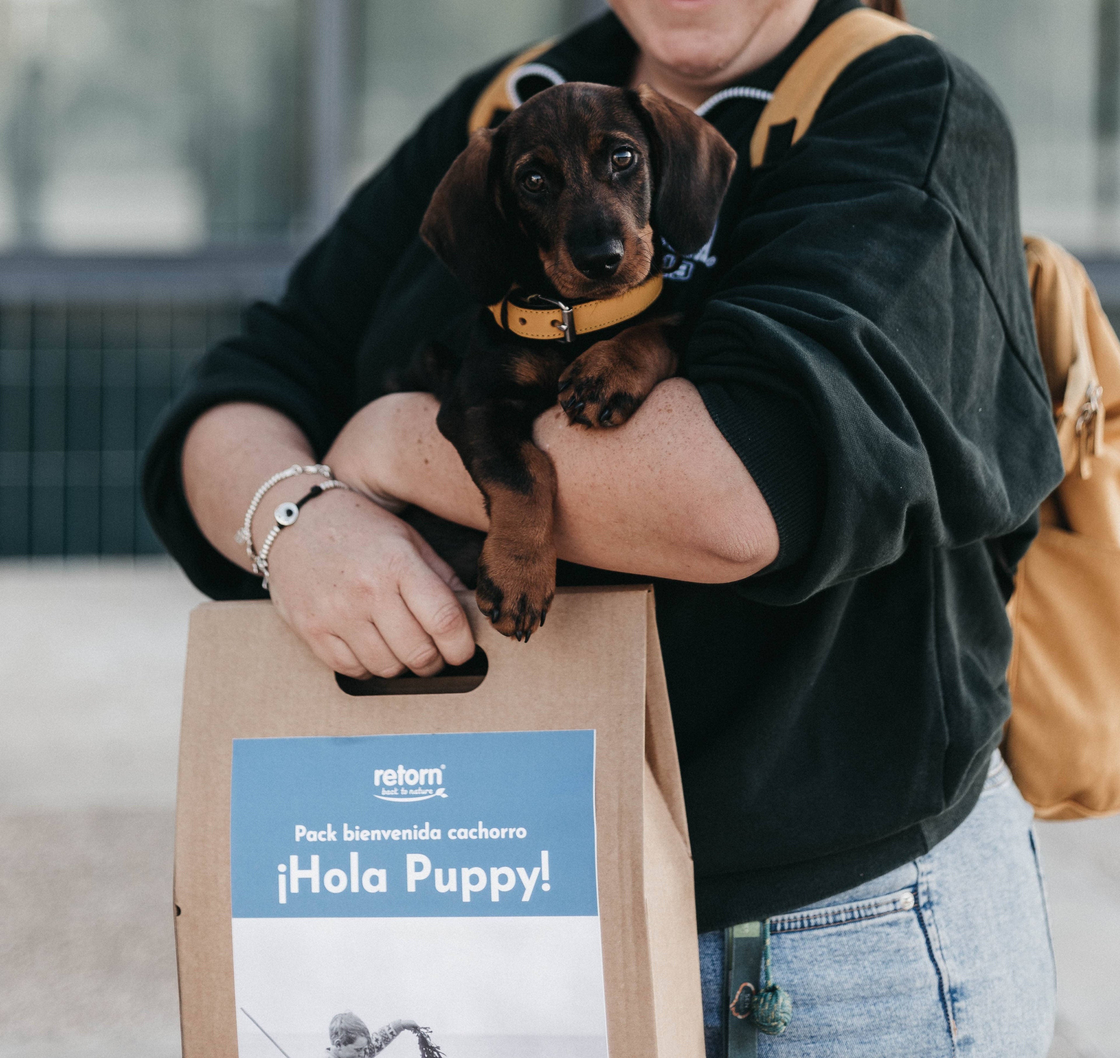 Lamb and Chicken can for Puppies by Retorn