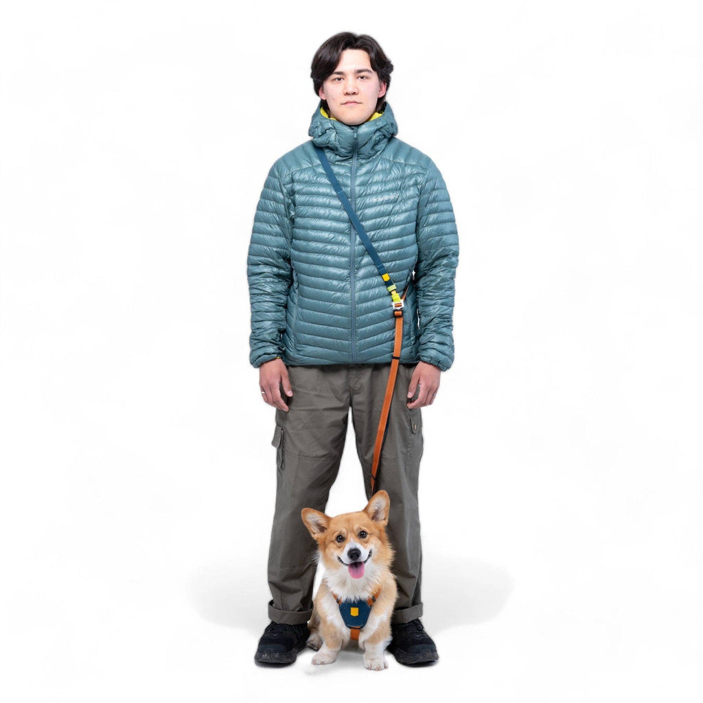Multi-Use Dog Leash Colour Block Lime Mix