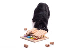 Piano - Interactive Toy Product of the Year - enrichment toy