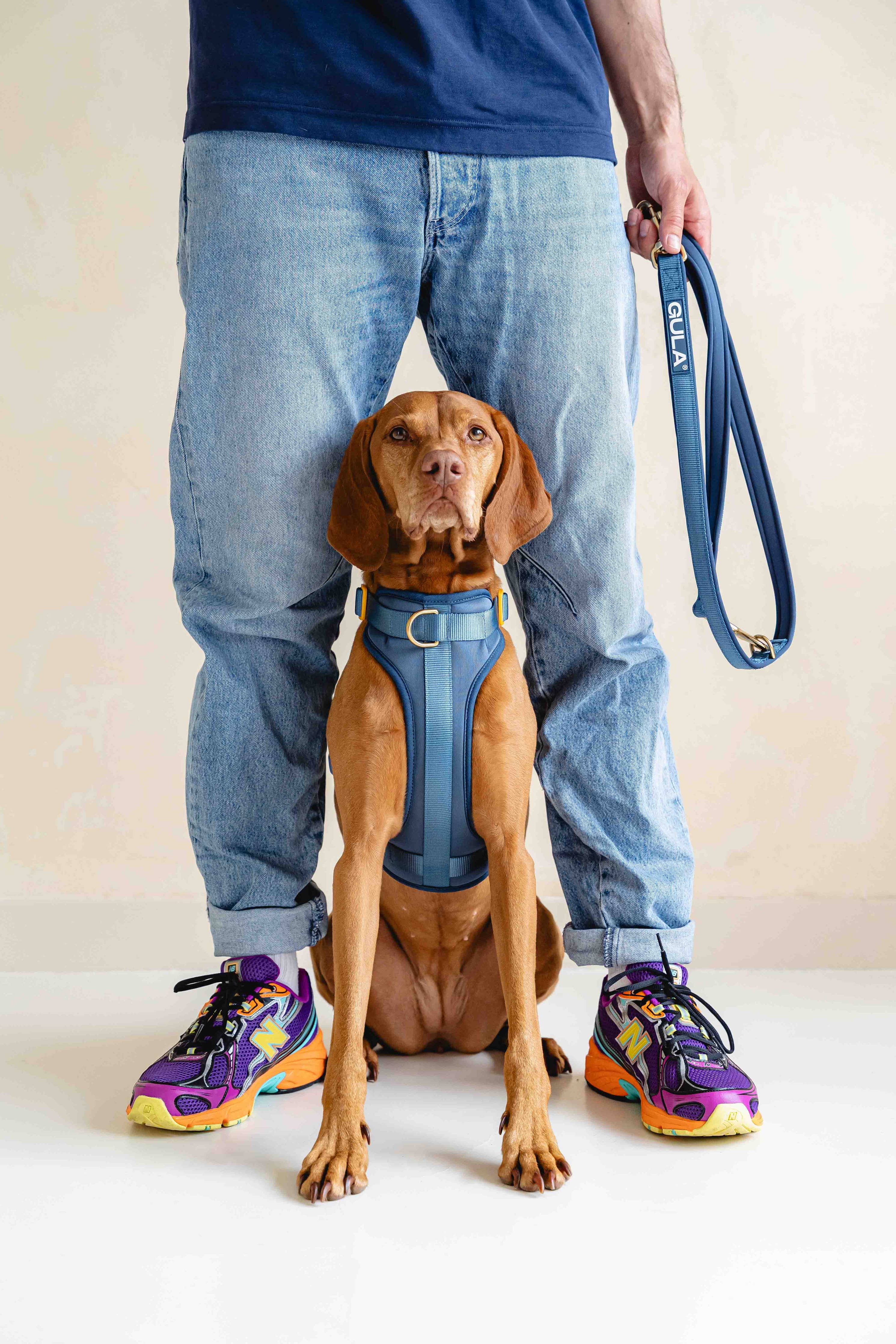 Dog Leash (Air-layer fabric) - Blue