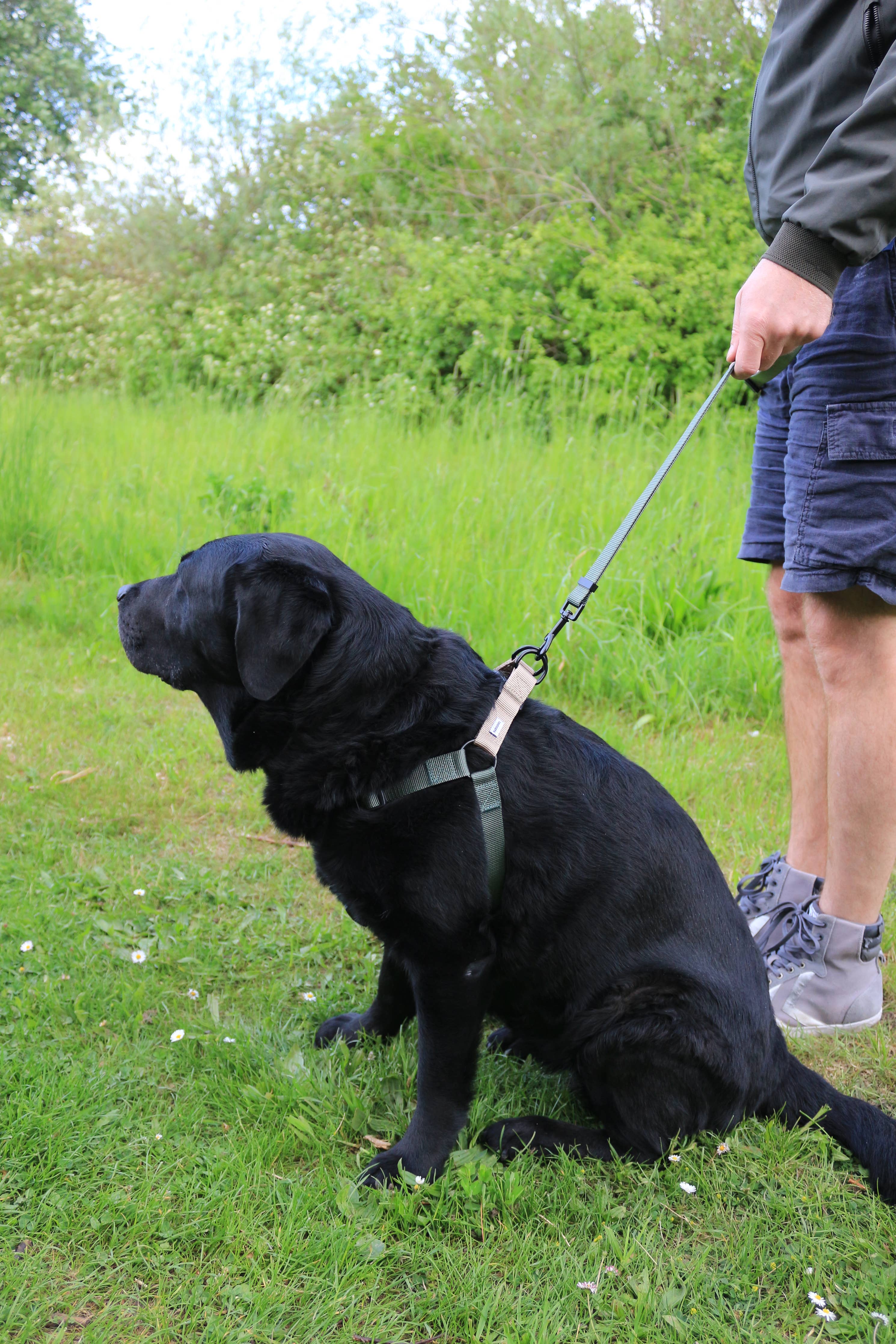Luna step-in Harness Green Sand