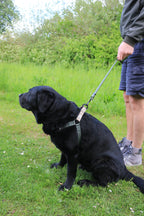 Luna Leash Green Sand. Adjustable length 90-180cm. Width 2cm.