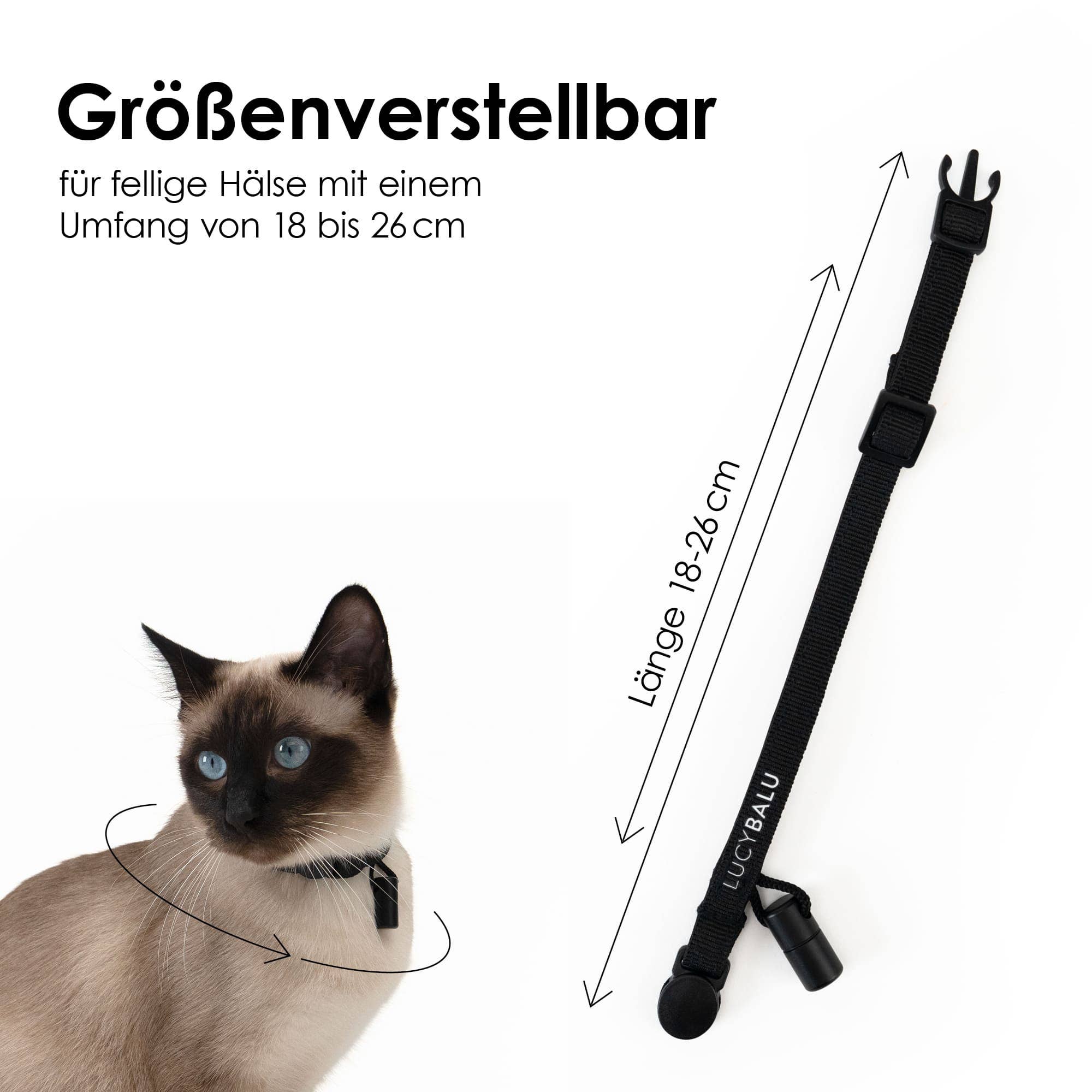 WILLY cat collar with name capsule