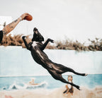 Natural Rubber Football Dog Toy - L