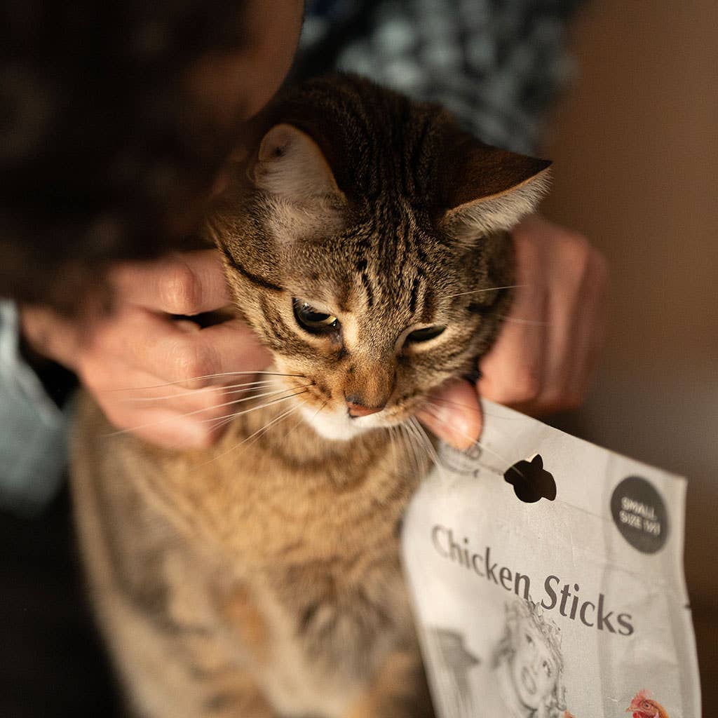 Treat Rub Stick Dental Chicken for Cats 100g