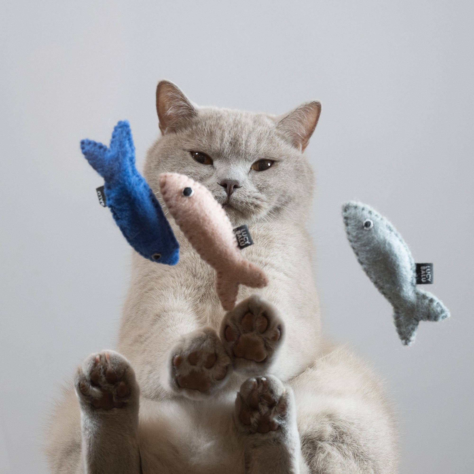 SARDINES cat toy