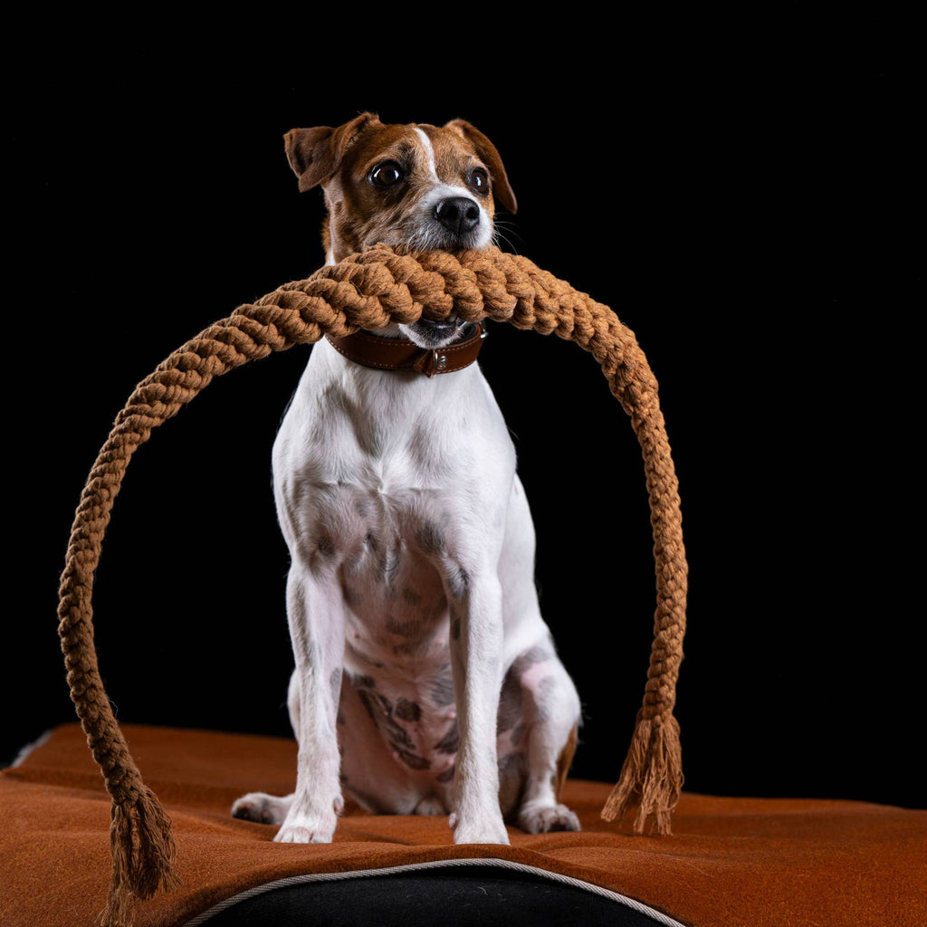 Britta Pretzel rope toy