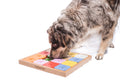 SUDOKU Medium Genie Color - intelligent dog puzzle