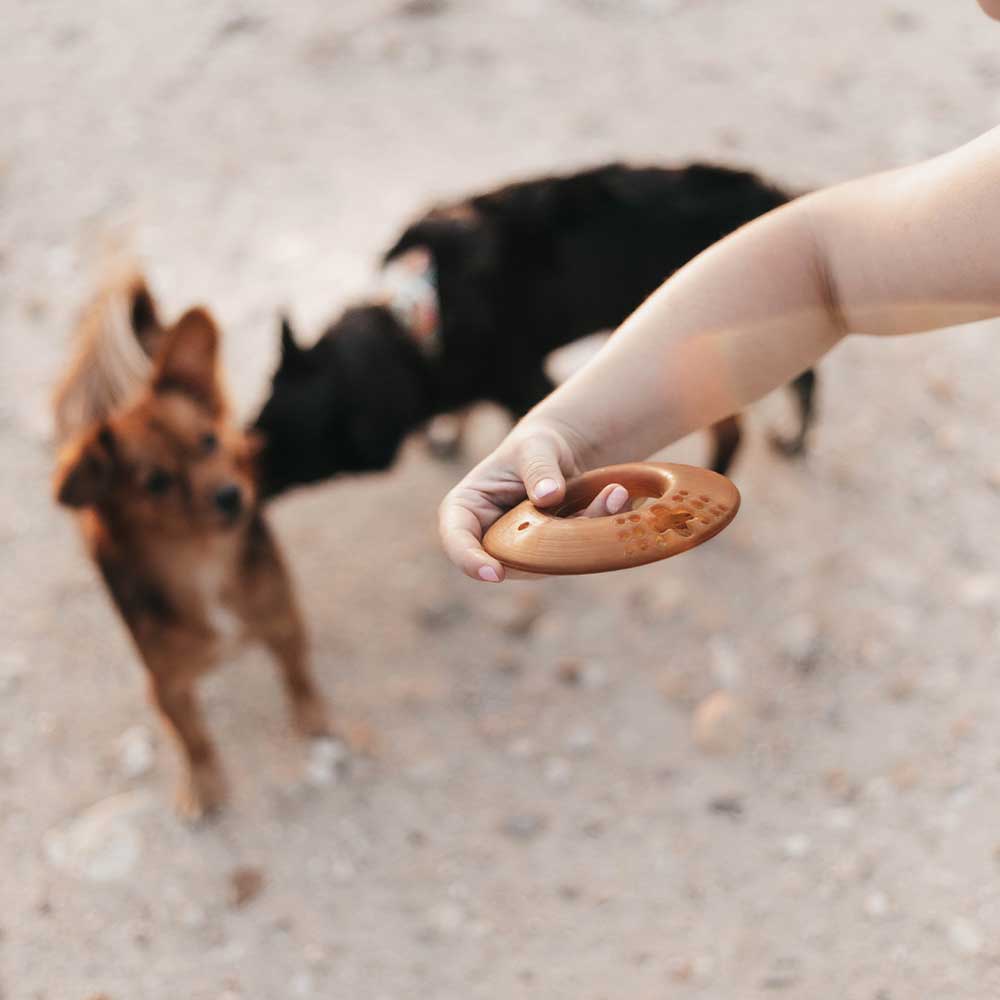 Natural Rubber Fly Ring Dog Toy