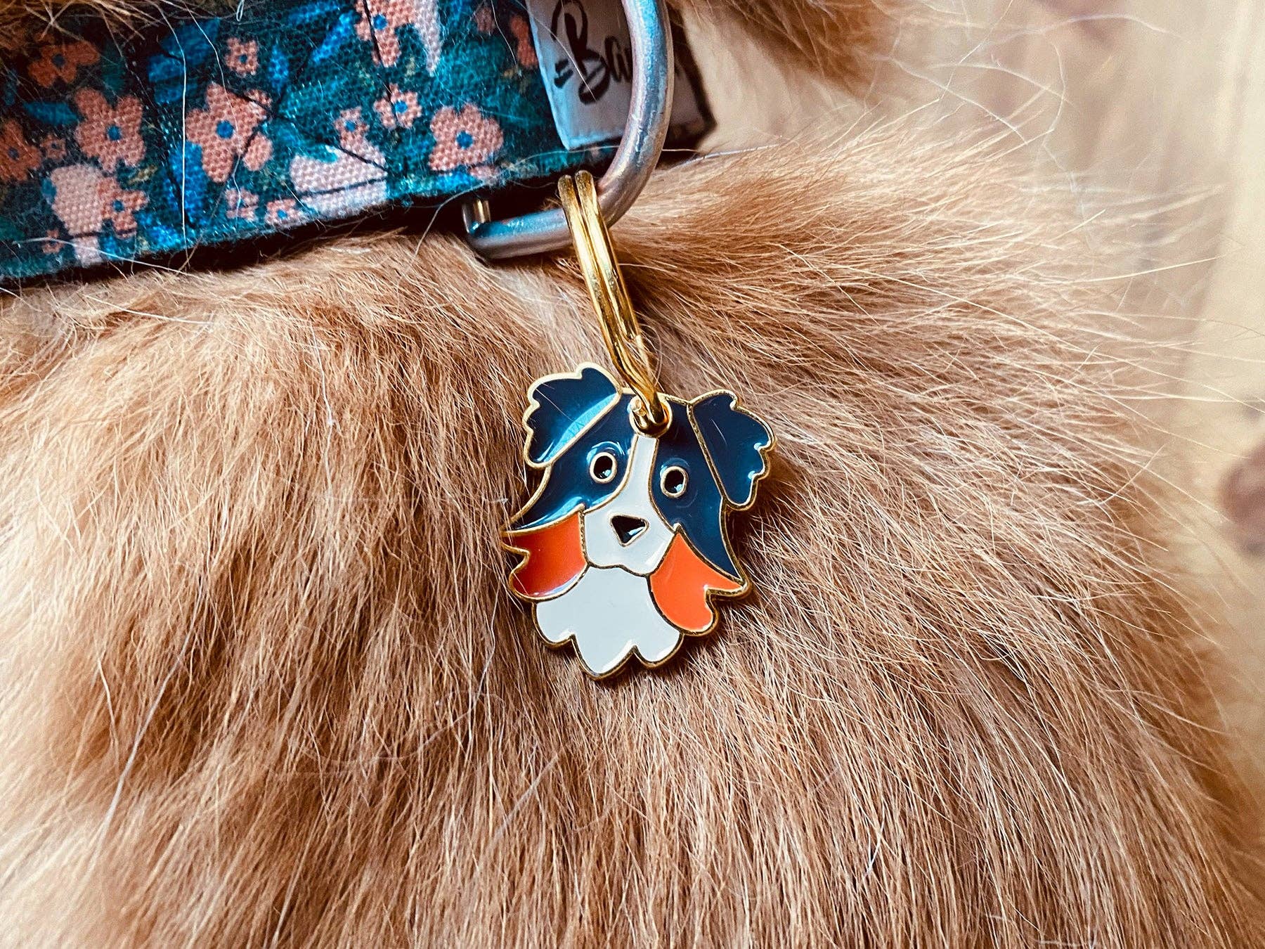 Collie/Shepherd dog tag