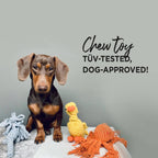 Greta Giraffe rope toy