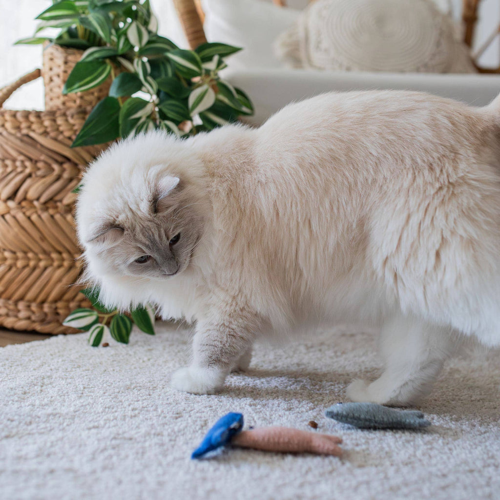 SARDINES cat toy