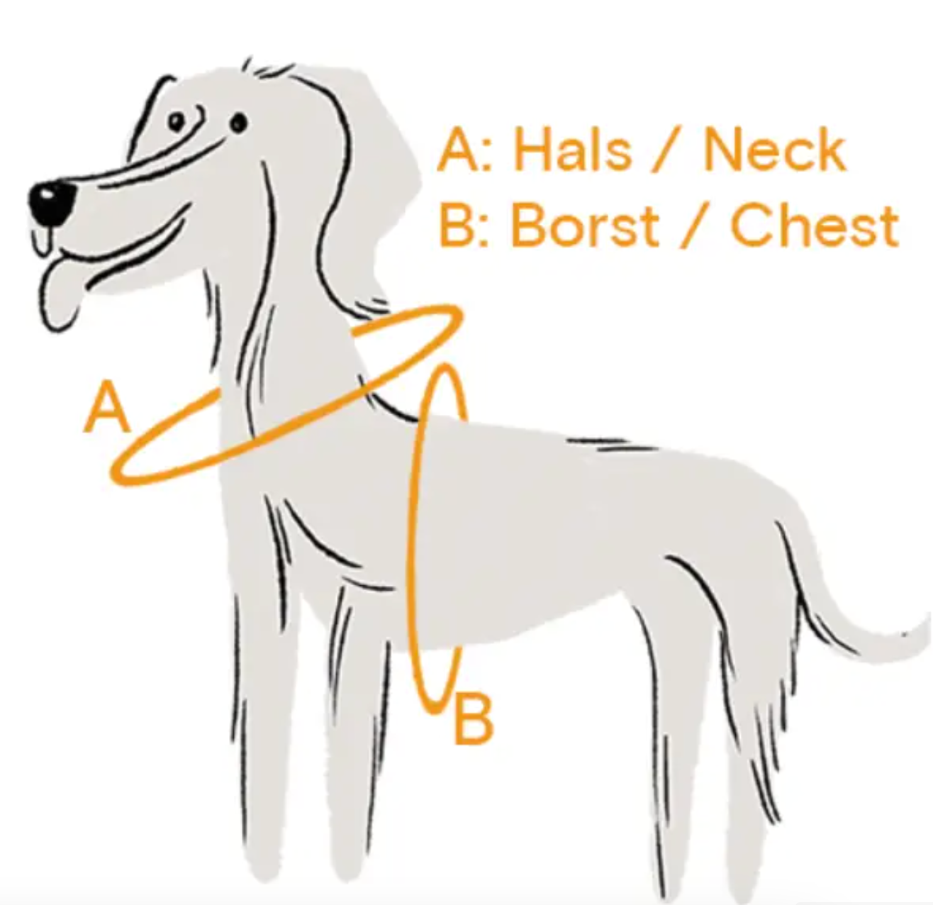 Dog Harness NEW - Bleu & Yellow