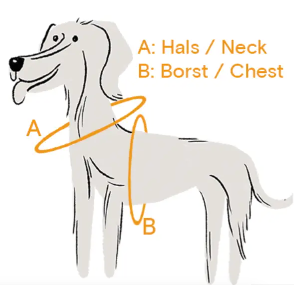 Dog Harness NEW - All Black