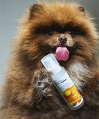 Dog Mist - Mid/night 00.00 x HotDog