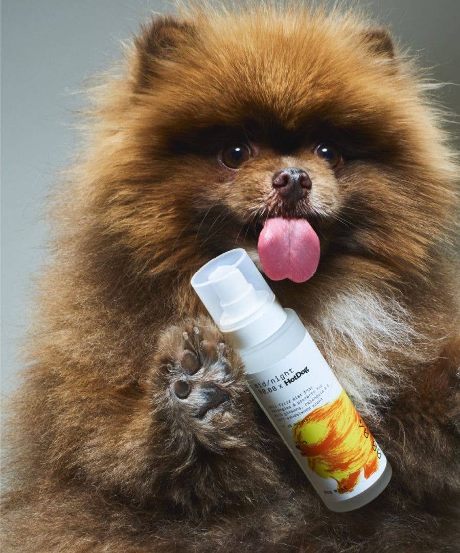 Dog Mist - Mid/night 00.00 x HotDog