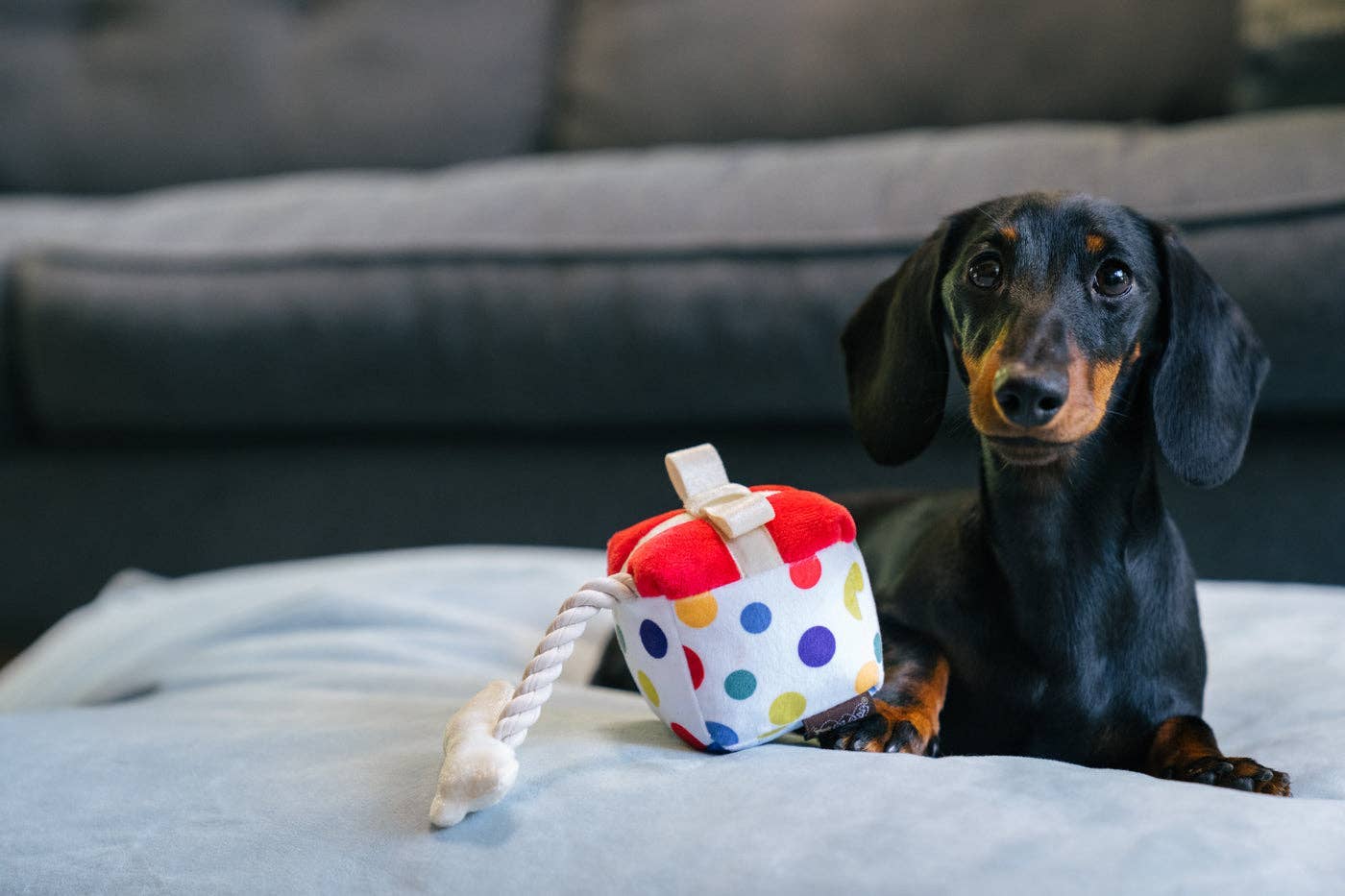 Party Time Pawfect Present toy